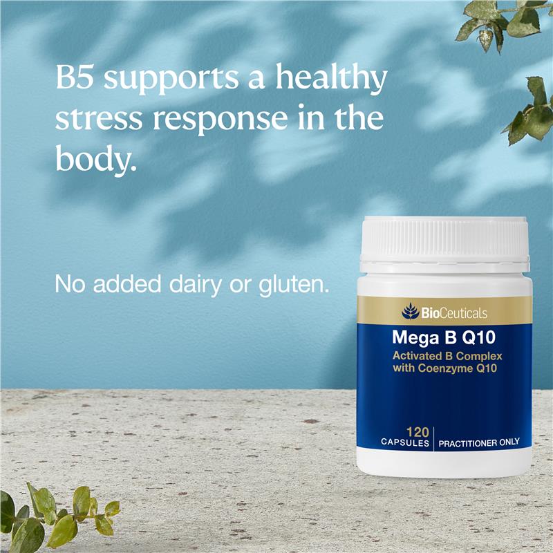 Bioceuticals Mega B Q10 120粒胶囊