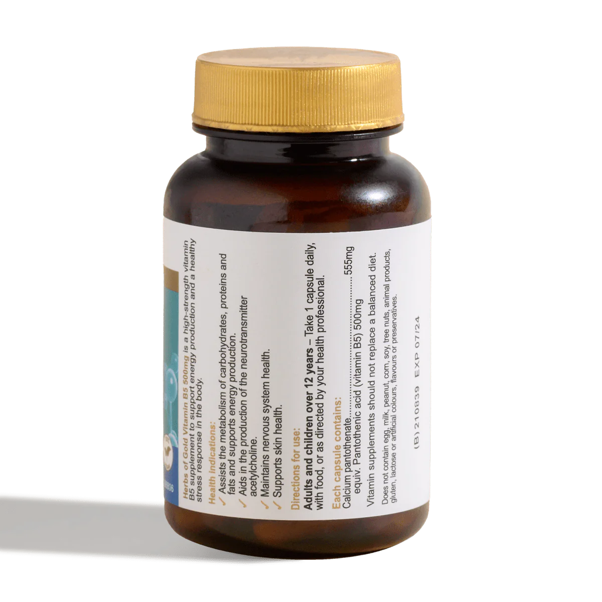 Herbs of Gold 维生素B5 500毫克 60粒胶囊