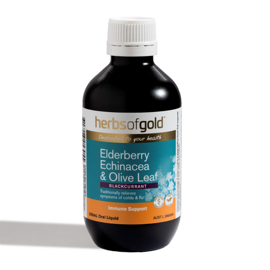 Herbs of Gold Elderberry Echinacea &amp; Olive Leaf 200ml Dung dịch uống 