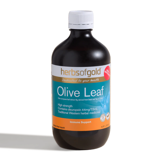 Herbs of Gold Olive Leaf 500ml Dung dịch uống 