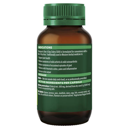 汤普森每日一片芹菜籽 5000 毫克 60 粒胶囊