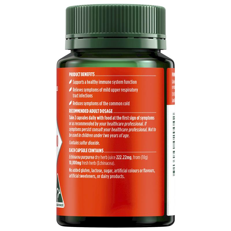 Nature's Own High Strength Echinacea 10.000mg 30 viên nang 