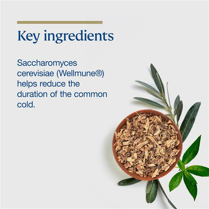 Bioceuticals Armaforce 每日防护片 60 片