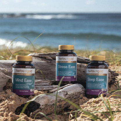 Herbs of Gold Stress Ease 60 viên 