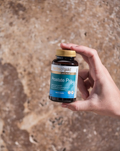 Herbs of Gold Prostate Pro 60片